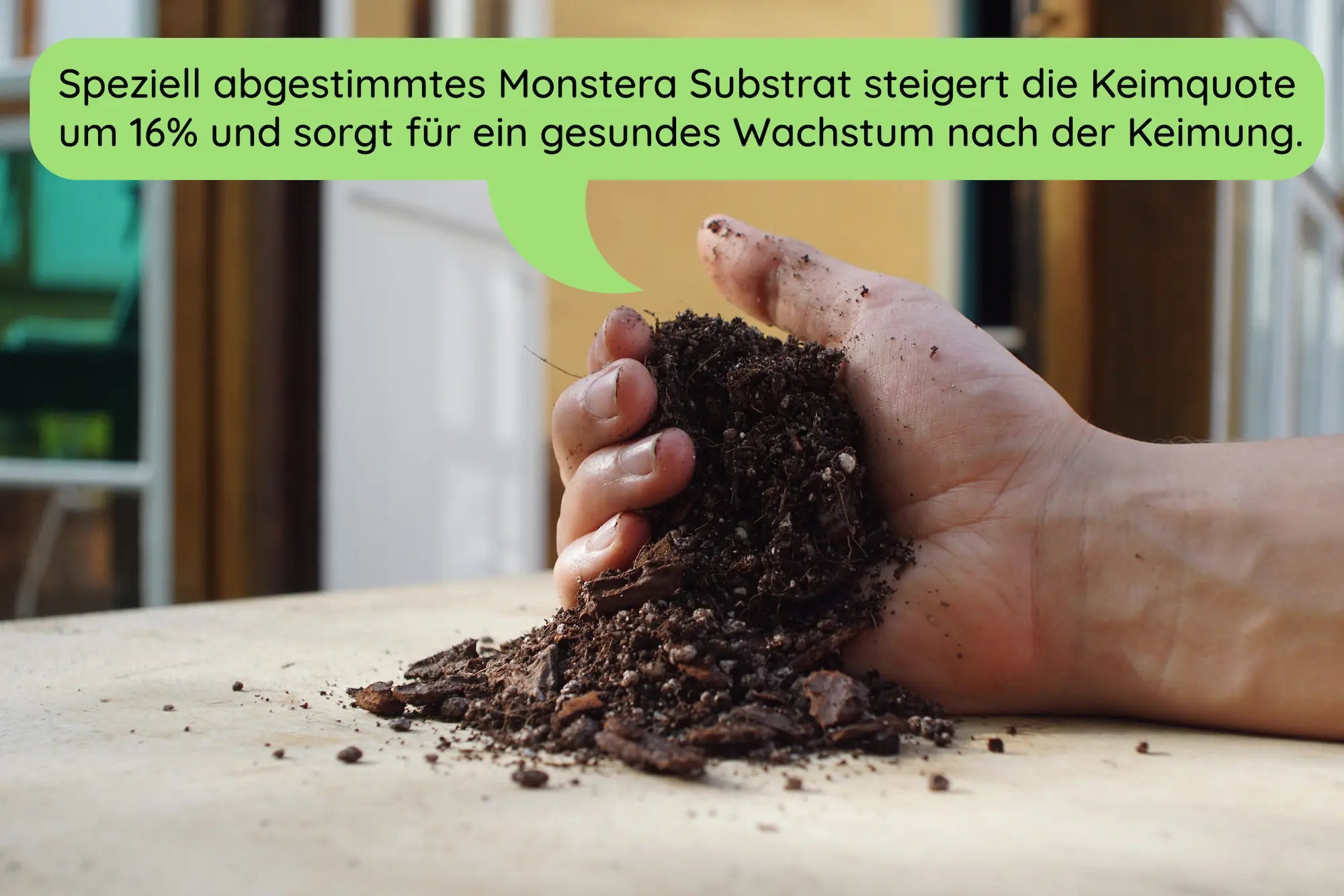 Monstera Substrat