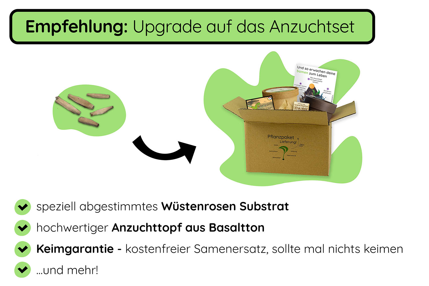 Monstera deliciosa Samen