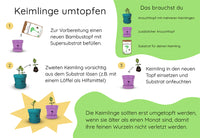 Keimling Umtopfset