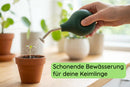 Vom-Samen-zum-Dschungel-Bundle