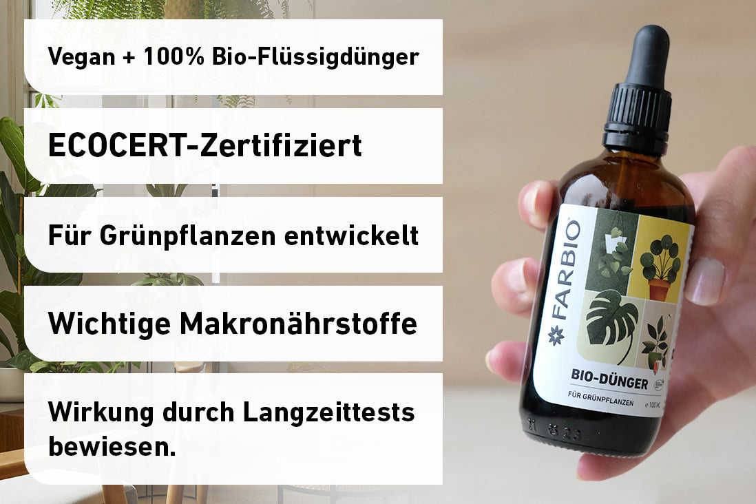 Vom-Samen-zum-Dschungel-Bundle