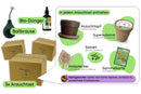 Vom-Samen-zum-Dschungel-Bundle