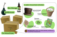 Vom-Samen-zum-Dschungel-Bundle