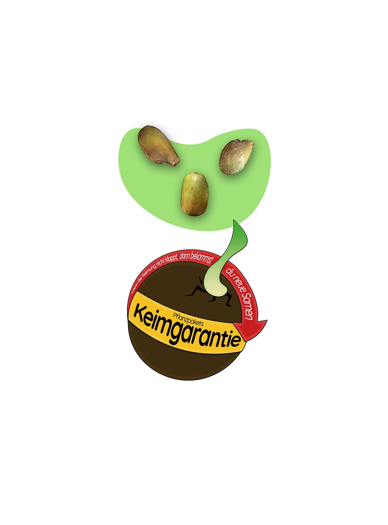 Keimgarantie Monstera Samen