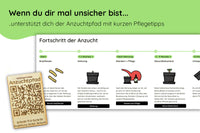 Bundle des Monats - Juli