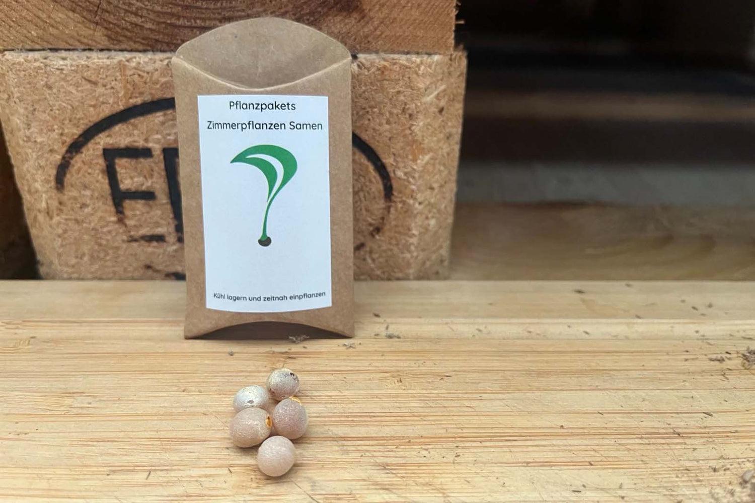 Kanarischer Drachenbaum Samen