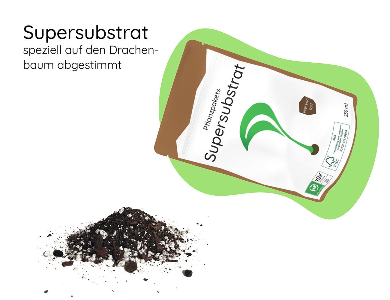 Drachenbaum Substrat